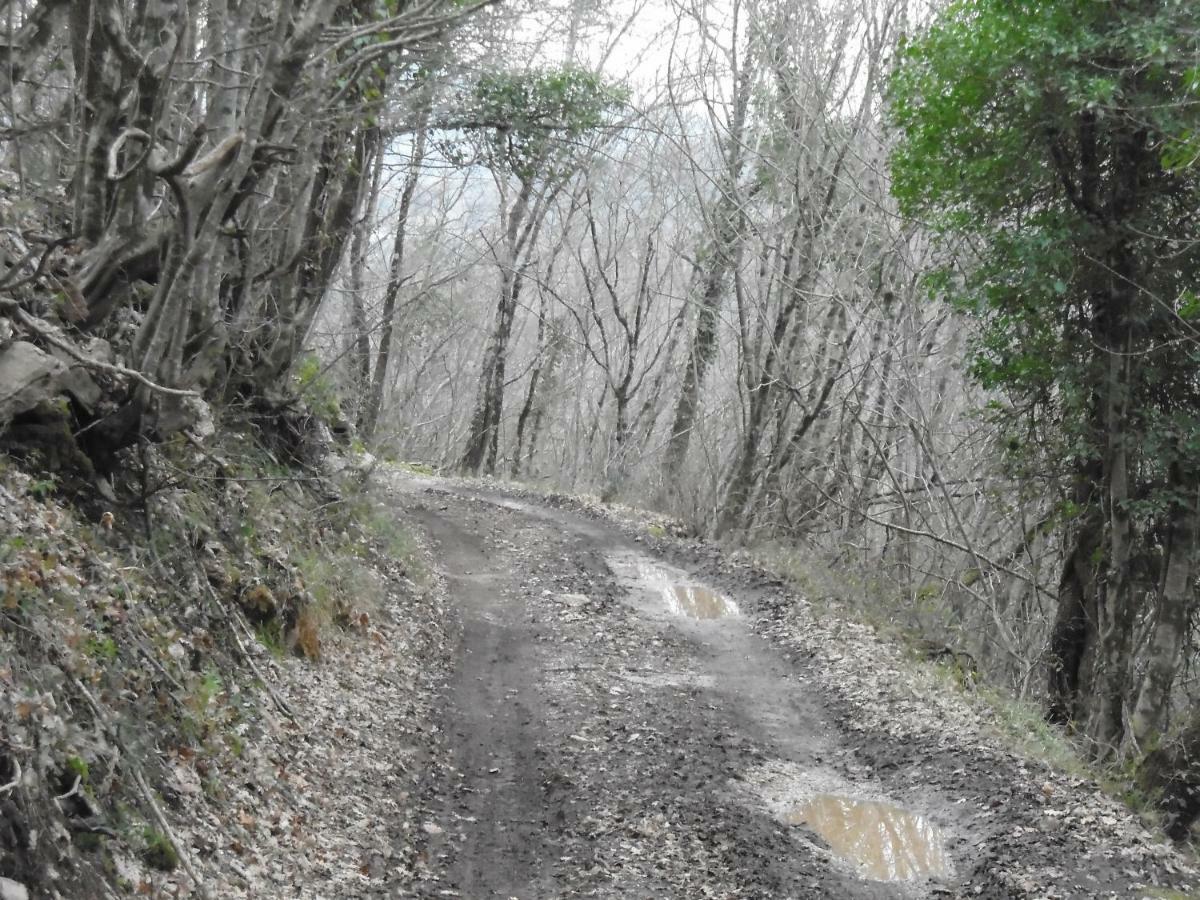 Colli a Volturno La Masseria Di Antonio E Teresina מראה חיצוני תמונה