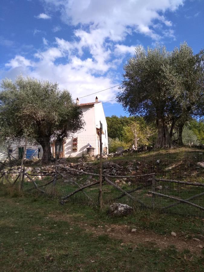 Colli a Volturno La Masseria Di Antonio E Teresina מראה חיצוני תמונה