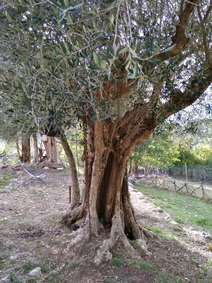 Colli a Volturno La Masseria Di Antonio E Teresina מראה חיצוני תמונה